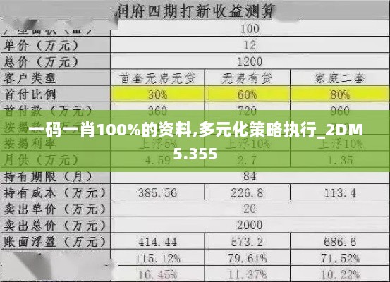 一码一肖100%的资料,多元化策略执行_2DM5.355