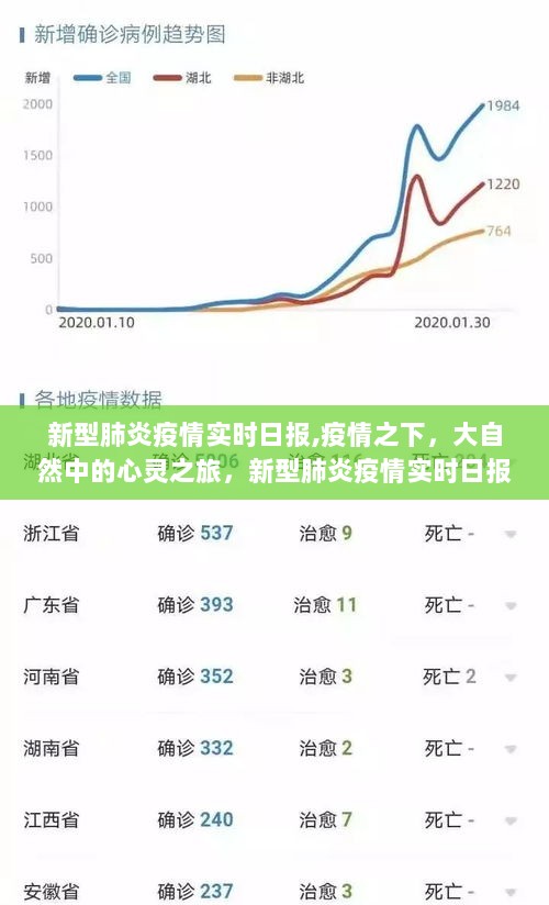 疫情之下的自然心灵之旅，新型肺炎疫情实时日报解读