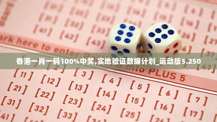 香港一肖一码100%中奖,实地验证数据计划_运动版5.250