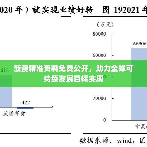 新澳精准资料免费公开，助力全球可持续发展目标实现