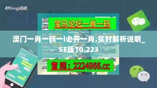 澳门一肖一码一l必开一肖,实时解析说明_SE版10.223