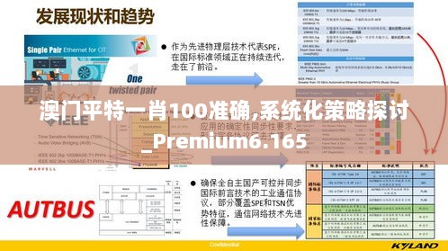 澳门平特一肖100准确,系统化策略探讨_Premium6.165