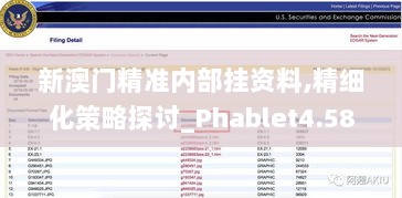 新澳门精准内部挂资料,精细化策略探讨_Phablet4.581