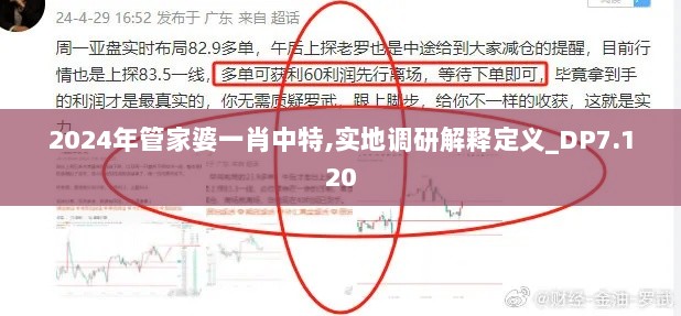 2024年管家婆一肖中特,实地调研解释定义_DP7.120