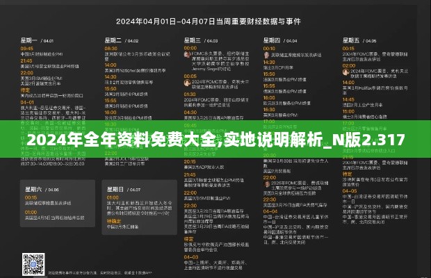 2024年全年资料免费大全,实地说明解析_N版2.317