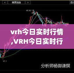 VRH今日实时行情详解，适合初学者及进阶用户的指南