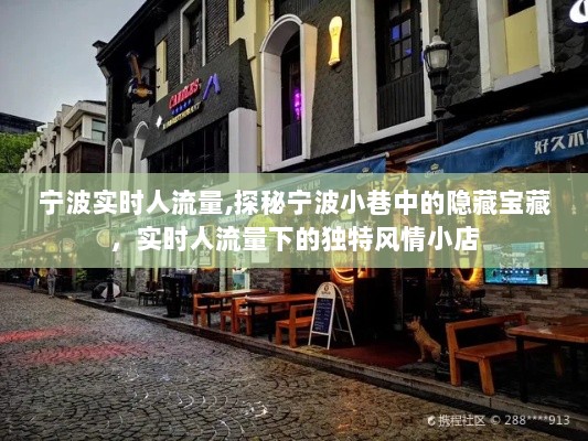 宁波实时人流量下的独特风情小店探秘，小巷中的隐藏宝藏与实时活力小店风情展