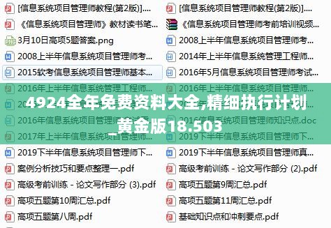 4924全年免费资料大全,精细执行计划_黄金版18.503