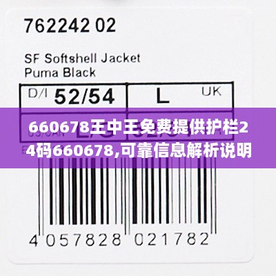 660678王中王免费提供护栏24码660678,可靠信息解析说明_Prime1.272