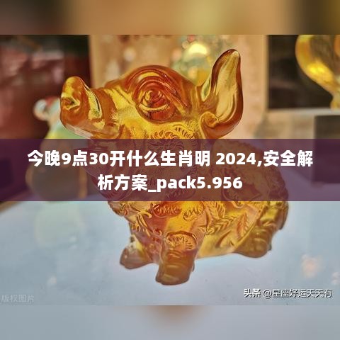 今晚9点30开什么生肖明 2024,安全解析方案_pack5.956