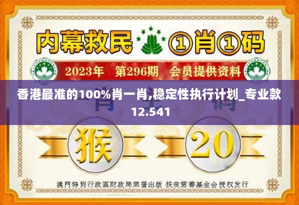 香港最准的100%肖一肖,稳定性执行计划_专业款12.541