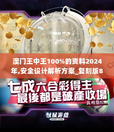 澳门王中王100%的资料2024年,安全设计解析方案_复刻版8.629