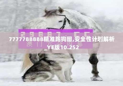 7777788888精准跑狗图,安全性计划解析_YE版10.252