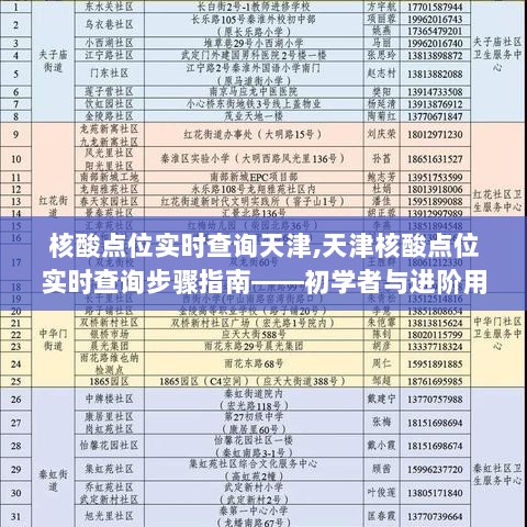 天津核酸点位实时查询指南，初学者与进阶用户查询宝典，快速掌握核酸点位实时动态！