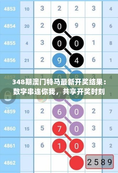 348期澳门特马最新开奖结果：数字串连你我，共享开奖时刻的紧张与兴奋