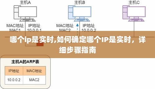 如何确定哪个IP是实时？详细步骤指南与实时IP识别方法解析。