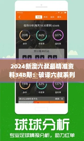 2024新澳六叔最精准资料348期：破译六叔系列的财富增长奥秘