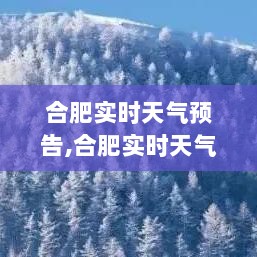 合肥实时天气预告，全面评测与深度介绍