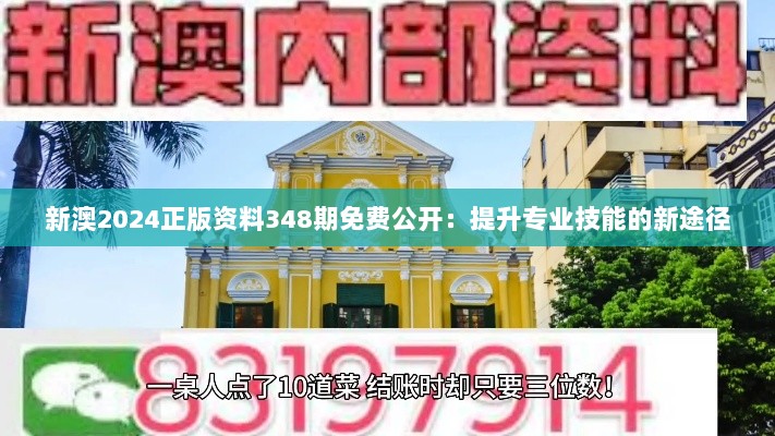 新澳2024正版资料348期免费公开：提升专业技能的新途径