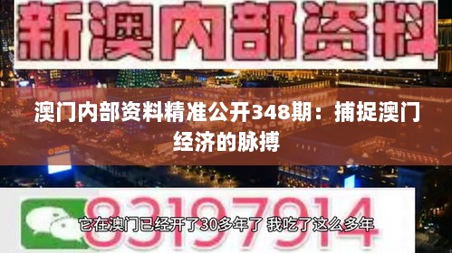 澳门内部资料精准公开348期：捕捉澳门经济的脉搏