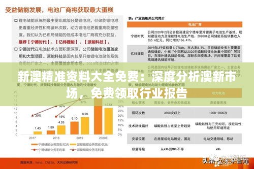 新澳精准资料大全免费：深度分析澳新市场，免费领取行业报告