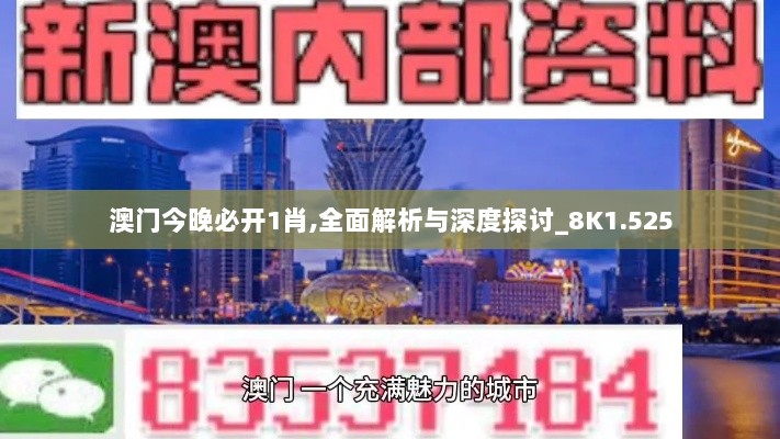 澳门今晚必开1肖,全面解析与深度探讨_8K1.525