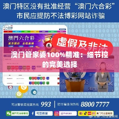 澳门管家婆100%精准：细节控的完美选择