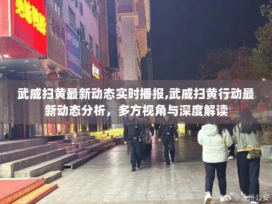 武威扫黄行动最新动态，实时播报与深度解读多方视角分析