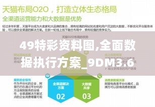 49特彩资料图,全面数据执行方案_9DM3.606