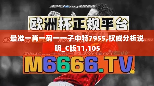 最准一肖一码一一子中特7955,权威分析说明_C版11.105