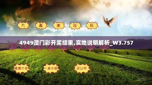 4949澳门彩开奖结果,实地说明解析_W3.757