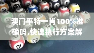 澳门平特一肖100%准确吗,快速执行方案解答_苹果款2.860