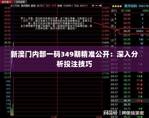 新澳门内部一码349期精准公开：深入分析投注技巧