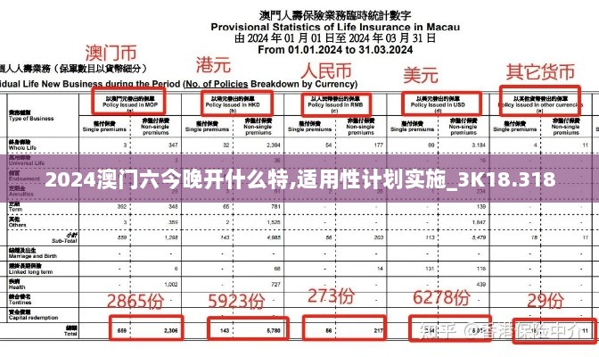 2024澳门六今晚开什么特,适用性计划实施_3K18.318