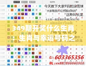 349期开奖什么生肖：生肖与幸运号码之间的秘密