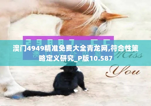 澳门4949精准免费大全青龙网,符合性策略定义研究_P版10.587