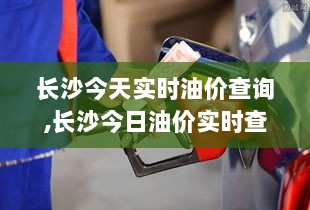 长沙油价实时查询，洞悉市场动态，掌握今日油价动态信息