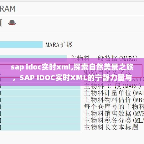 SAP IDOC实时XML，自然美景探索之旅与宁静力量的对话