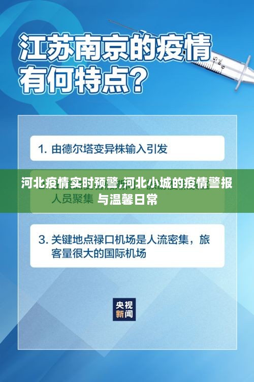 河北疫情实时预警，小城警报与温馨日常