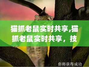 猫抓老鼠实时共享，技术背后的秘密与洞察揭秘