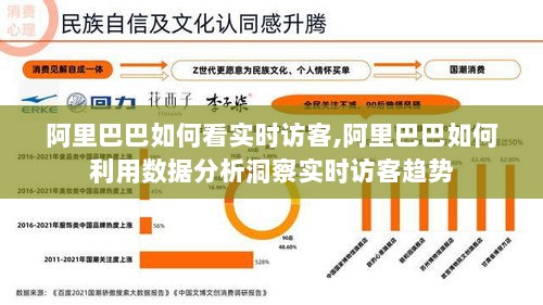 阿里巴巴实时访客洞察，数据分析策略与趋势观察指南