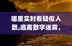 心灵驿站探寻，逃离数字迷雾，实时关注疑似人数，寻觅自然美景之旅