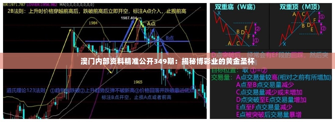 澳门内部资料精准公开349期：揭秘博彩业的黄金圣杯