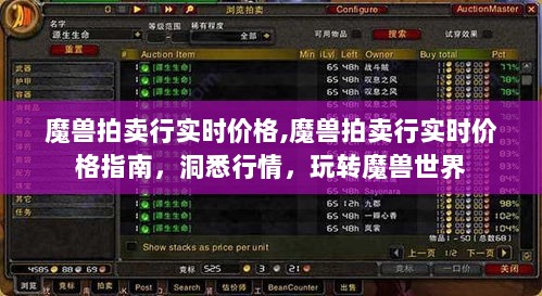 魔兽拍卖行实时价格指南，洞悉行情，轻松玩转魔兽世界拍卖行