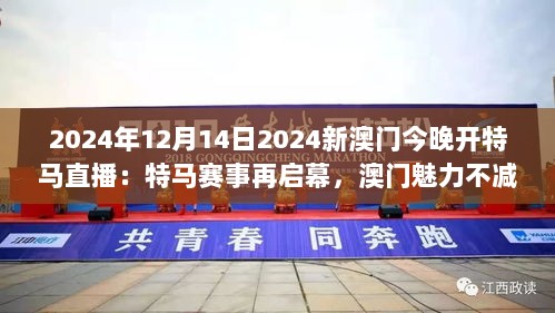 2024年12月14日2024新澳门今晚开特马直播：特马赛事再启幕，澳门魅力不减当年