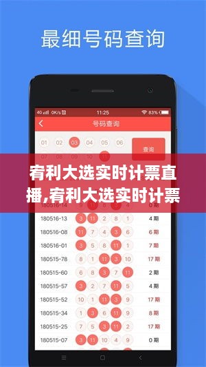 宥利大选实时计票直播，全程、亮点与挑战解析