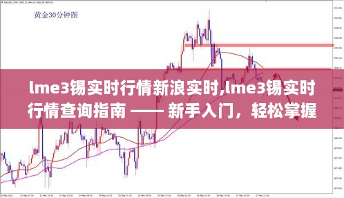 LME3锡实时行情新浪查询指南，新手入门，轻松掌握锡价动态