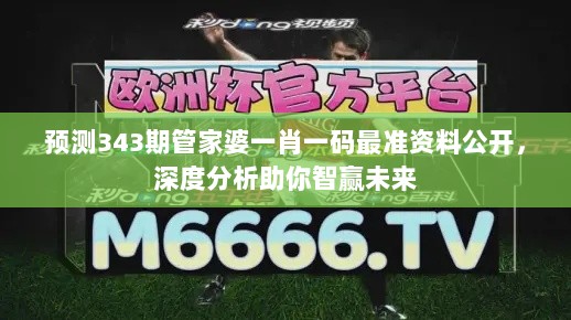 预测343期管家婆一肖一码最准资料公开，深度分析助你智赢未来