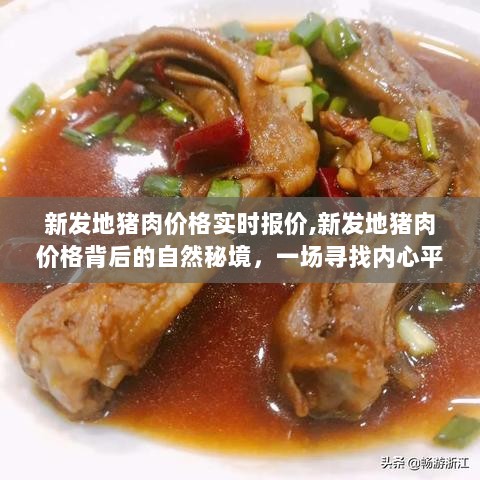 新发地猪肉价格背后的自然秘境探索，一场寻找内心平静的猪肉之旅