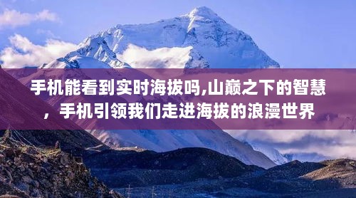 手机导航，实时海拔探索与浪漫的山巅之旅